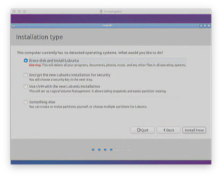 Lubuntu Installation Type Selections